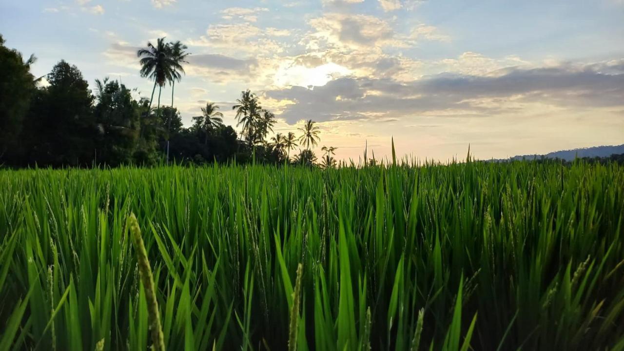 Bali De Pardis Cottage Munduk  Bagian luar foto