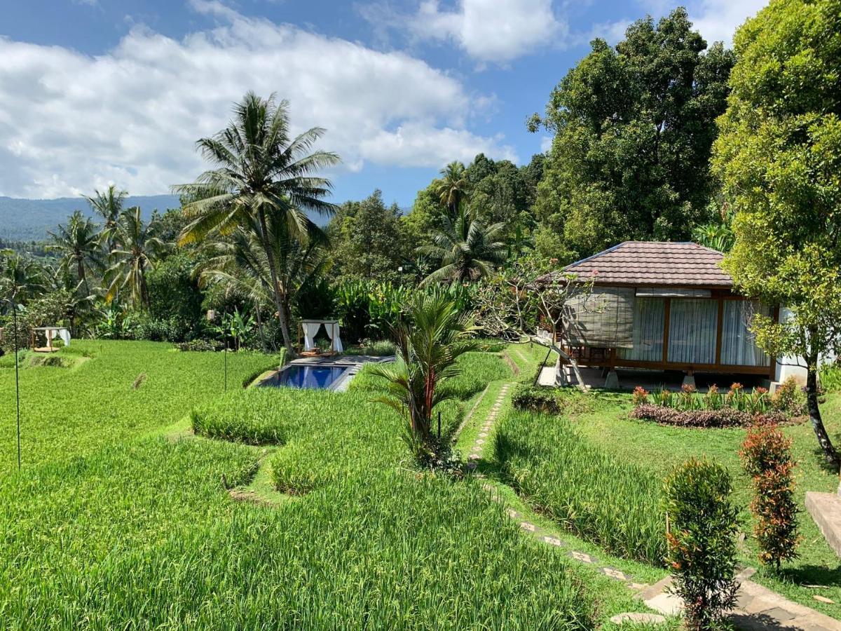 Bali De Pardis Cottage Munduk  Bagian luar foto