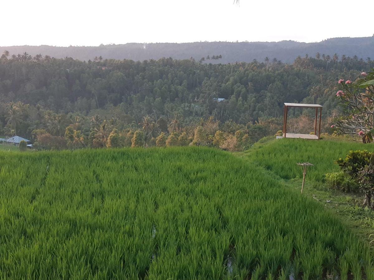 Bali De Pardis Cottage Munduk  Bagian luar foto