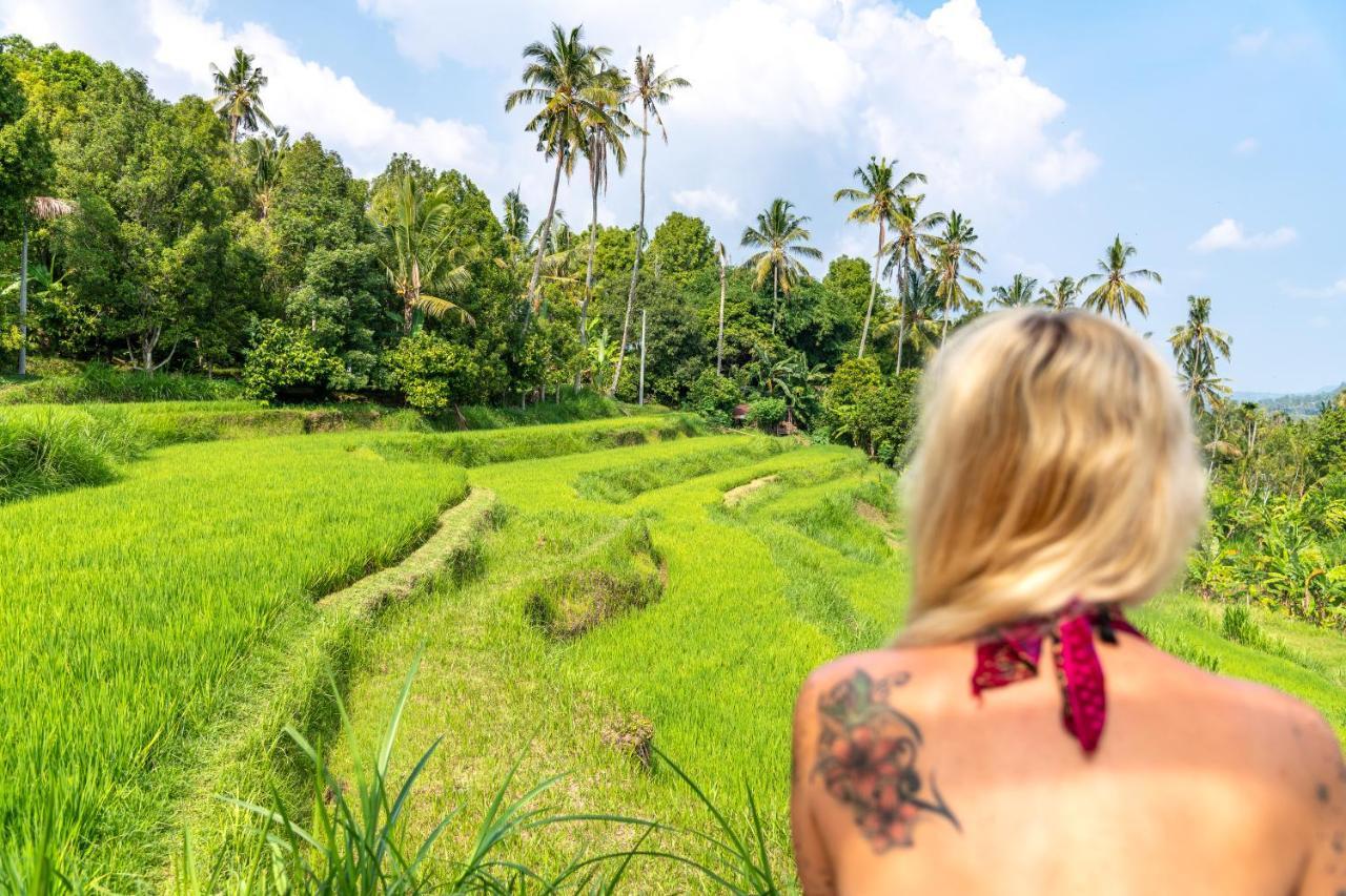Bali De Pardis Cottage Munduk  Bagian luar foto