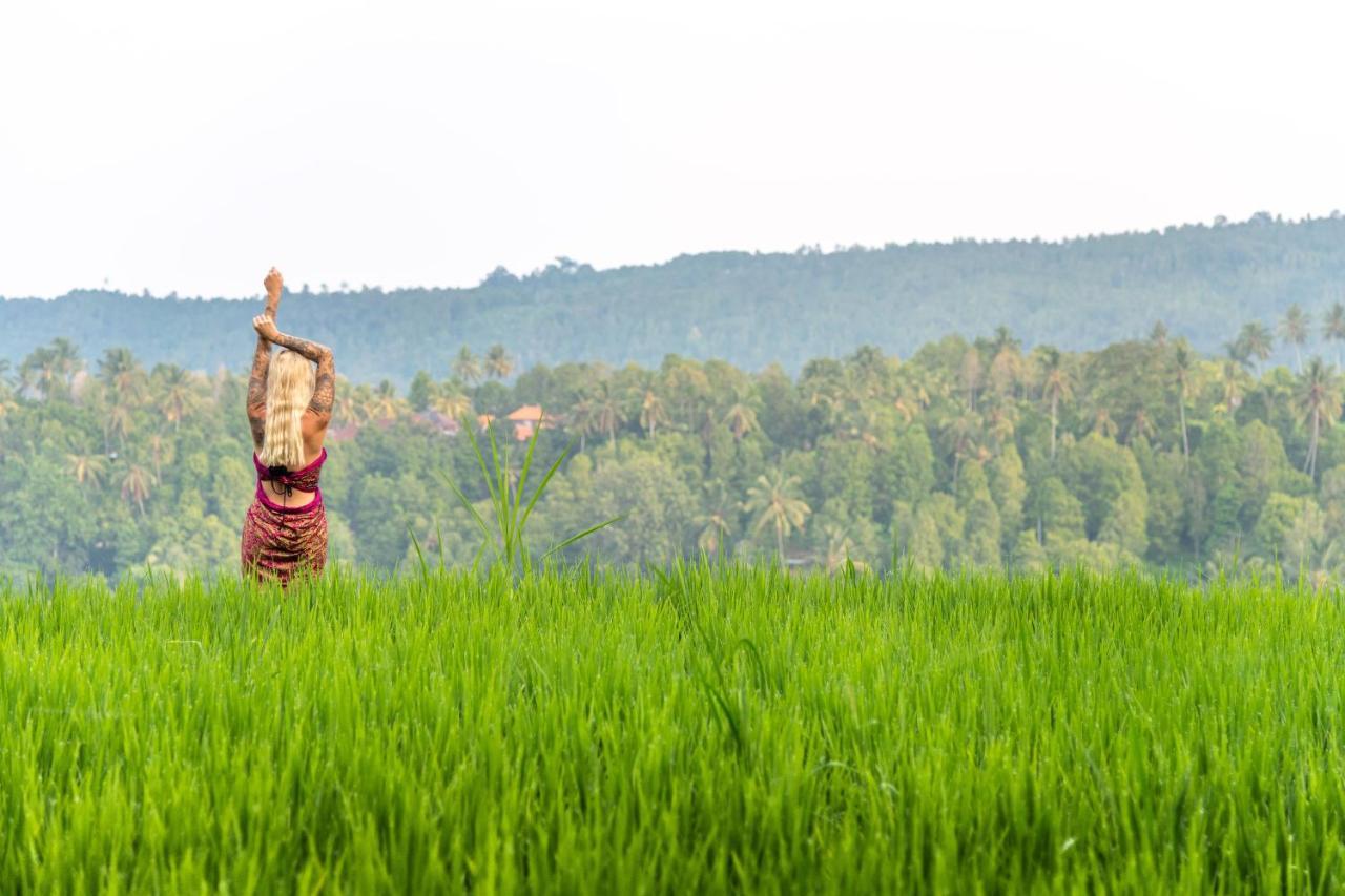 Bali De Pardis Cottage Munduk  Bagian luar foto